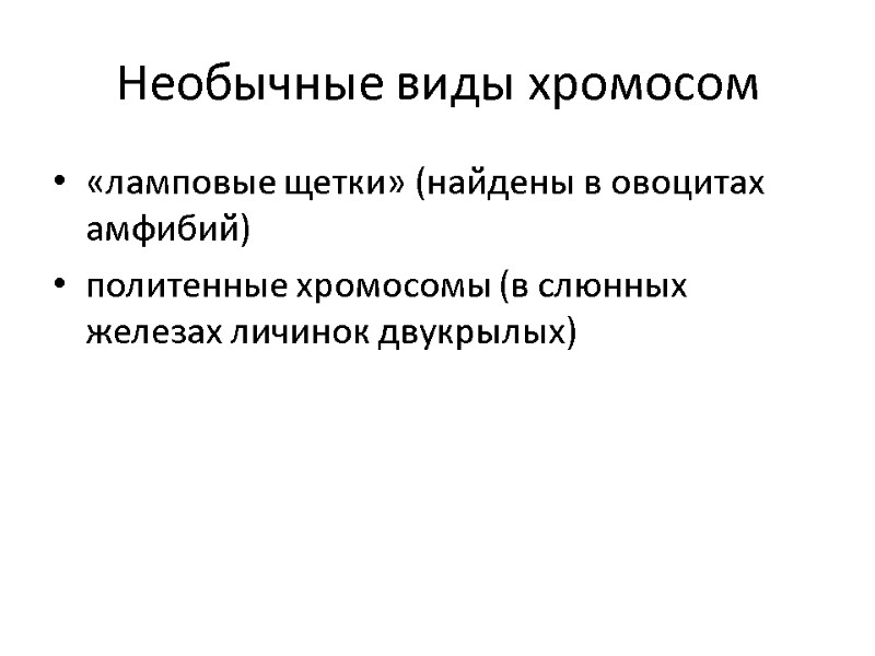 Необычные виды хромосом «ламповые щетки» (найдены в овоцитах амфибий) политенные хромосомы (в слюнных железах